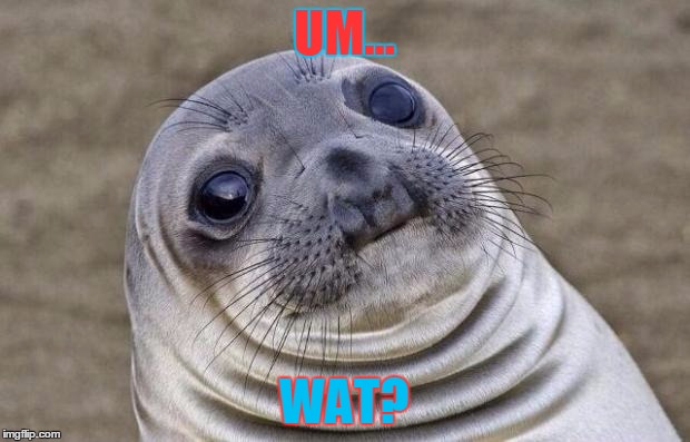 Awkward Moment Sealion | UM... WAT? | image tagged in memes,awkward moment sealion | made w/ Imgflip meme maker