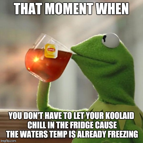 But That's None Of My Business | THAT MOMENT WHEN YOU DON'T HAVE TO LET YOUR KOOLAID CHILL IN THE FRIDGE CAUSE THE WATERS TEMP IS ALREADY FREEZING | image tagged in memes,but thats none of my business,kermit the frog | made w/ Imgflip meme maker