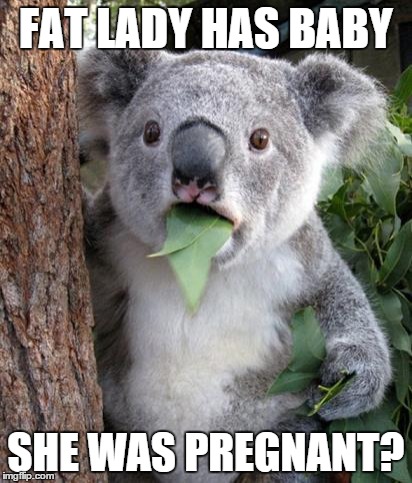 FAT LADY HAS BABY SHE WAS PREGNANT? | made w/ Imgflip meme maker