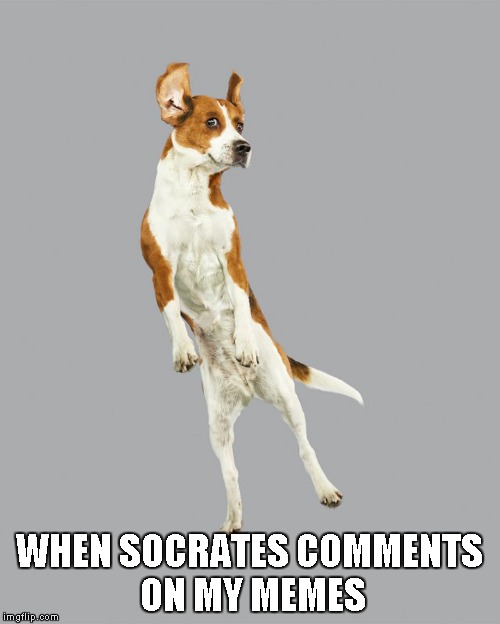 WHEN SOCRATES COMMENTS ON MY MEMES | made w/ Imgflip meme maker