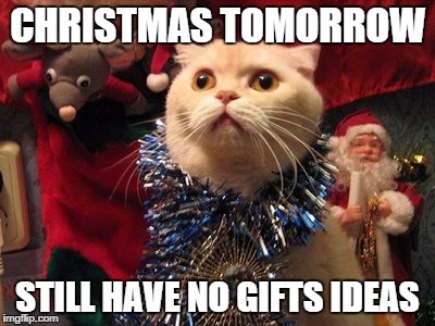 Not ready for Christmas yet... | CHRISTMAS TOMORROW STILL HAVE NO GIFTS IDEAS | image tagged in christmas,scared cat | made w/ Imgflip meme maker