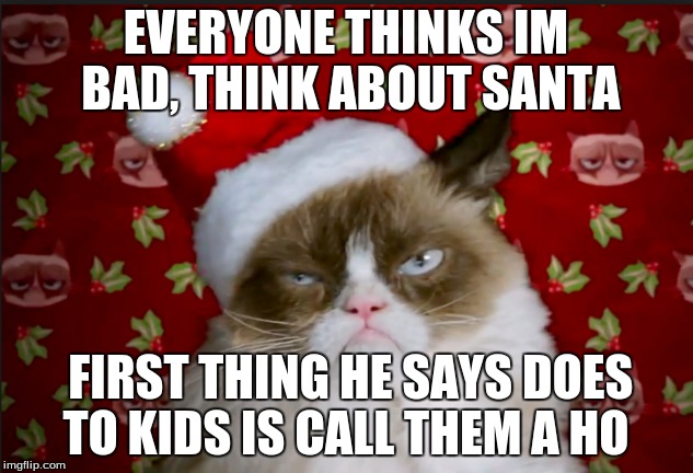 EVERYONE THINKS IM BAD, THINK ABOUT SANTA FIRST THING HE SAYS DOES TO KIDS IS CALL THEM A HO | image tagged in memes,funny cat memes | made w/ Imgflip meme maker