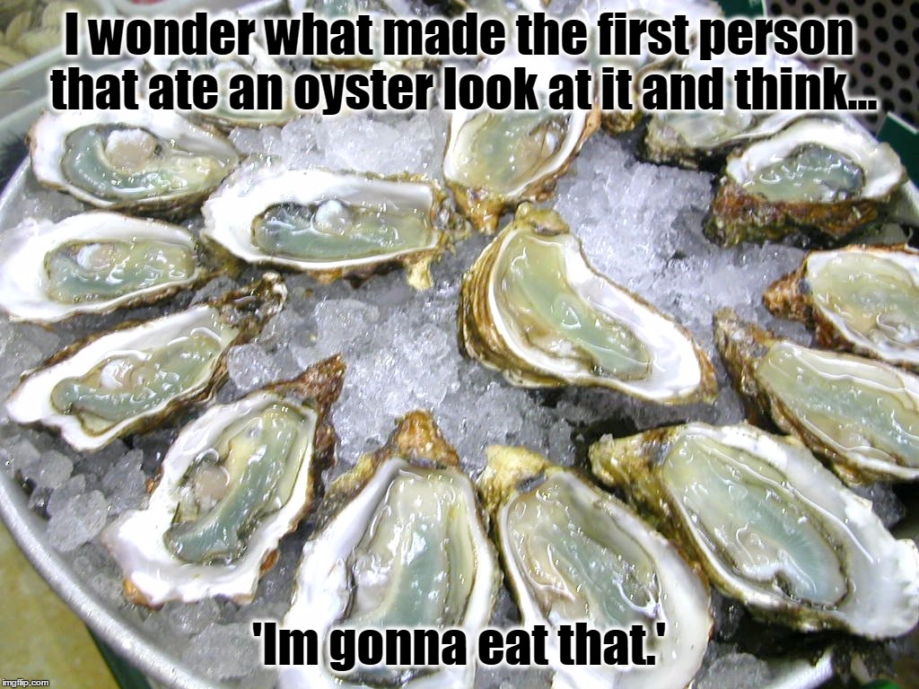 Oysters | I wonder what made the first person that ate an oyster look at it and think... 'Im gonna eat that.' | image tagged in food,oysters | made w/ Imgflip meme maker