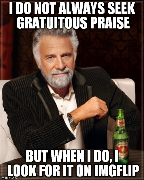 The Most Interesting Man In The World Meme | I DO NOT ALWAYS SEEK GRATUITOUS PRAISE BUT WHEN I DO, I LOOK FOR IT ON IMGFLIP | image tagged in memes,the most interesting man in the world | made w/ Imgflip meme maker