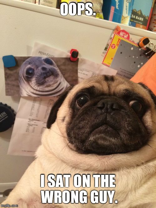 Awkward moment pug | OOPS. I SAT ON THE WRONG GUY. | image tagged in awkward moment pug | made w/ Imgflip meme maker