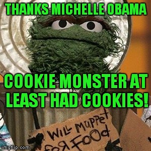 Don't mess with S. Street | THANKS MICHELLE OBAMA COOKIE MONSTER AT LEAST HAD COOKIES! | image tagged in oscar the grouch | made w/ Imgflip meme maker