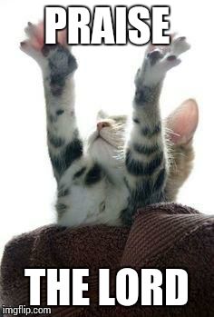 amen cat | PRAISE THE LORD | image tagged in amen cat | made w/ Imgflip meme maker