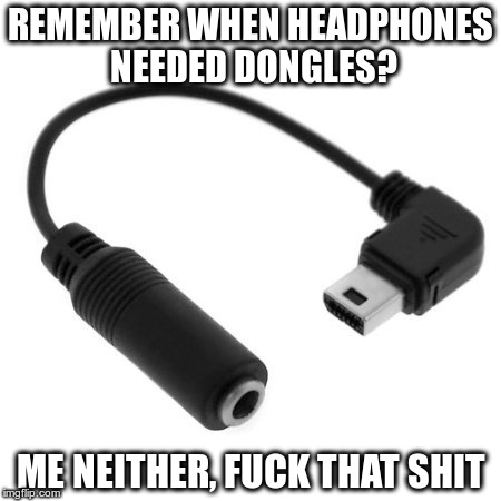 REMEMBER WHEN HEADPHONES NEEDED DONGLES? ME NEITHER, F**K THAT SHIT | image tagged in AdviceAnimals | made w/ Imgflip meme maker