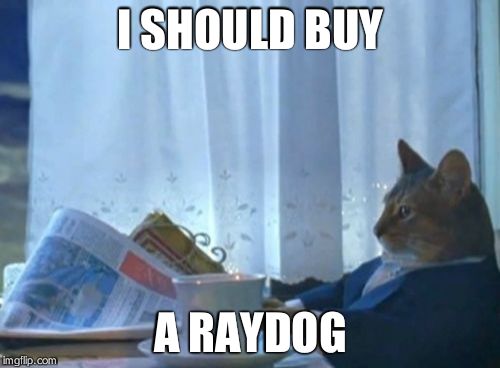 I Should Buy A Boat Cat | I SHOULD BUY A RAYDOG | image tagged in memes,i should buy a boat cat | made w/ Imgflip meme maker