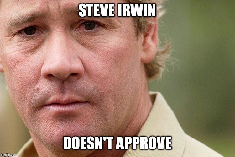 STEVE IRWIN DOESN'T APPROVE | made w/ Imgflip meme maker