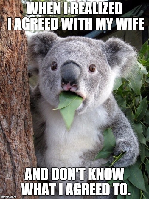 Not listening will get you in trouble.. | WHEN I REALIZED I AGREED WITH MY WIFE AND DON'T KNOW WHAT I AGREED TO. | image tagged in memes,surprised coala | made w/ Imgflip meme maker