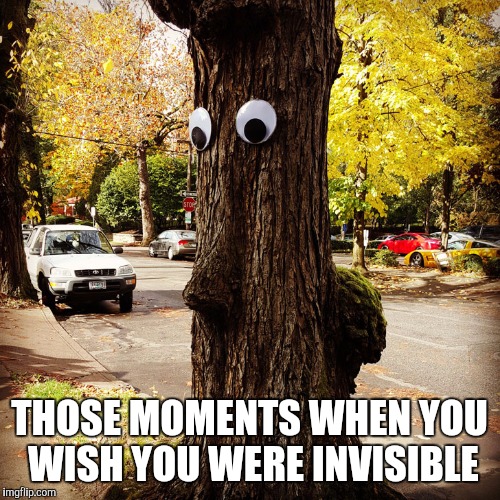 When I see someone I went to school with but I look like crap | THOSE MOMENTS WHEN YOU WISH YOU WERE INVISIBLE | image tagged in tree,memes | made w/ Imgflip meme maker