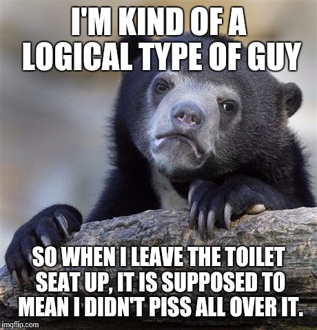 Confession Bear Meme | I'M KIND OF A LOGICAL TYPE OF GUY SO WHEN I LEAVE THE TOILET SEAT UP, IT IS SUPPOSED TO MEAN I DIDN'T PISS ALL OVER IT. | image tagged in memes,confession bear | made w/ Imgflip meme maker