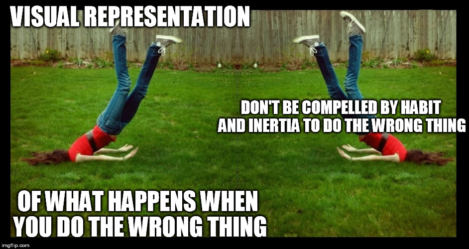 What Happens When You Do Wrong | VISUAL REPRESENTATION OF WHAT HAPPENS WHEN YOU DO THE WRONG THING DON'T BE COMPELLED BY HABIT AND INERTIA TO DO THE WRONG THING | image tagged in do the right things | made w/ Imgflip meme maker