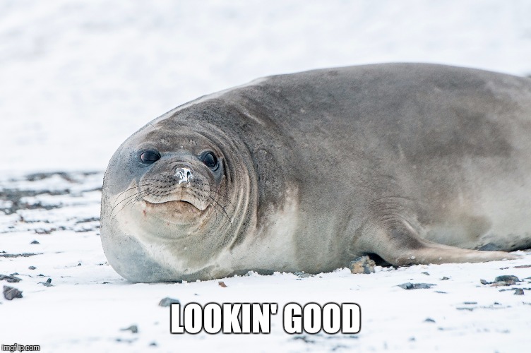 LOOKIN' GOOD | made w/ Imgflip meme maker