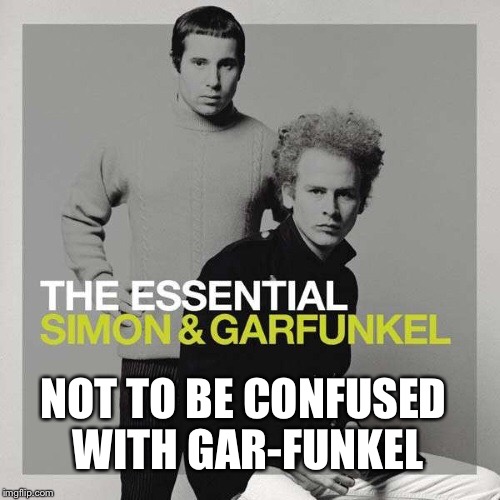 NOT TO BE CONFUSED WITH GAR-FUNKEL | image tagged in simon | made w/ Imgflip meme maker