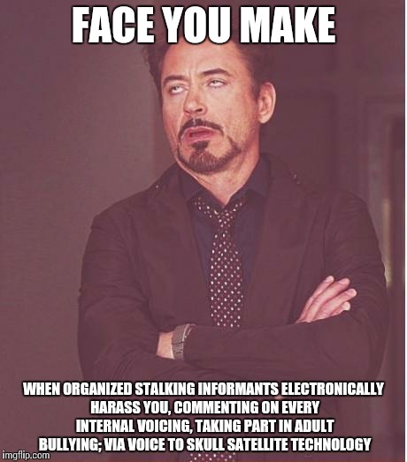Targeted Individual Robert Downey Jr | FACE YOU MAKE WHEN ORGANIZED STALKING INFORMANTS ELECTRONICALLY HARASS YOU, COMMENTING ON EVERY INTERNAL VOICING, TAKING PART IN ADULT BULLY | image tagged in memes,face you make robert downey jr | made w/ Imgflip meme maker
