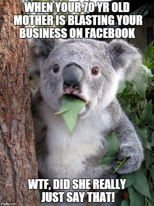 Surprised Koala | WHEN YOUR 70 YR OLD MOTHER IS BLASTING YOUR BUSINESS ON FACEBOOK WTF, DID SHE REALLY JUST SAY THAT! | image tagged in memes,surprised coala | made w/ Imgflip meme maker
