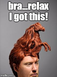 Horse Hair Relax | bra...relax I got this! | image tagged in horse hair relax | made w/ Imgflip meme maker