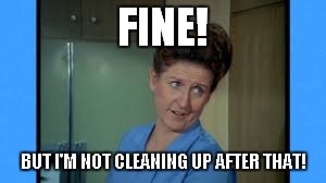 FINE! BUT I'M NOT CLEANING UP AFTER THAT! | made w/ Imgflip meme maker