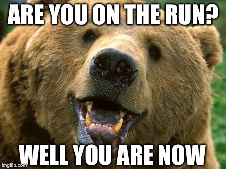 ARE YOU ON THE RUN? WELL YOU ARE NOW | image tagged in bear | made w/ Imgflip meme maker