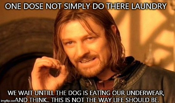 One Does Not Simply Meme | ONE DOSE NOT SIMPLY DO THERE LAUNDRY WE WAIT UNTILL THE DOG IS EATING OUR UNDERWEAR, AND THINK.. THIS IS NOT THE WAY LIFE SHOULD BE. | image tagged in memes,one does not simply | made w/ Imgflip meme maker