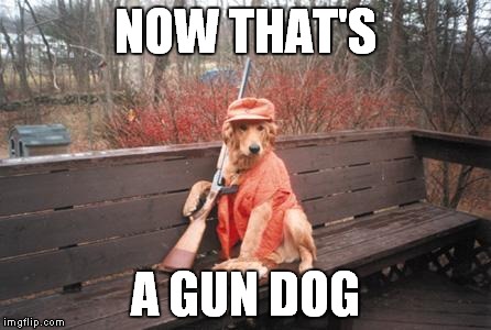 Hunting | NOW THAT'S A GUN DOG | image tagged in hunting | made w/ Imgflip meme maker