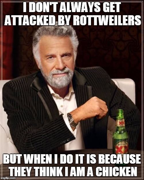 The Most Interesting Man In The World Meme | I DON'T ALWAYS GET ATTACKED BY ROTTWEILERS BUT WHEN I DO IT IS BECAUSE THEY THINK I AM A CHICKEN | image tagged in memes,the most interesting man in the world | made w/ Imgflip meme maker