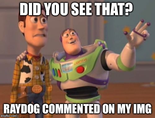 X, X Everywhere Meme | DID YOU SEE THAT? RAYDOG COMMENTED ON MY IMG | image tagged in memes,x x everywhere | made w/ Imgflip meme maker