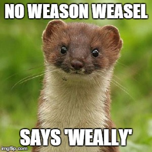 NO WEASON WEASEL SAYS 'WEALLY' | made w/ Imgflip meme maker