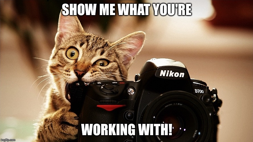 Meme me up Scotty.  Meme me a picture of what can be on the other side of the lens! | SHOW ME WHAT YOU'RE WORKING WITH! | image tagged in funny memes,cats | made w/ Imgflip meme maker