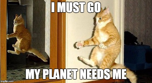 invisible bike cat | I MUST GO MY PLANET NEEDS ME | image tagged in memes,cats | made w/ Imgflip meme maker