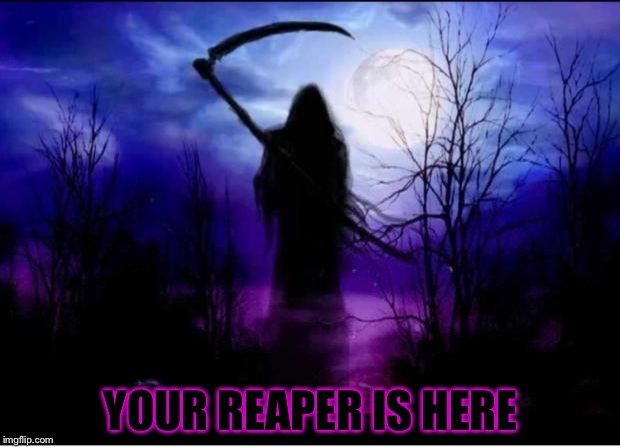 Reaper | YOUR REAPER IS HERE | image tagged in reaper | made w/ Imgflip meme maker