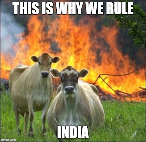 God Cows | THIS IS WHY WE RULE INDIA | image tagged in memes,evil cows | made w/ Imgflip meme maker