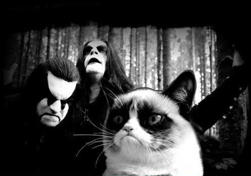 metal angry cat Blank Meme Template