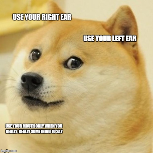 Doge | USE YOUR RIGHT EAR USE YOUR LEFT EAR USE YOUR MOUTH ONLY WHEN YOU REALLY, REALLY SOMETHING TO SAY | image tagged in memes,doge | made w/ Imgflip meme maker