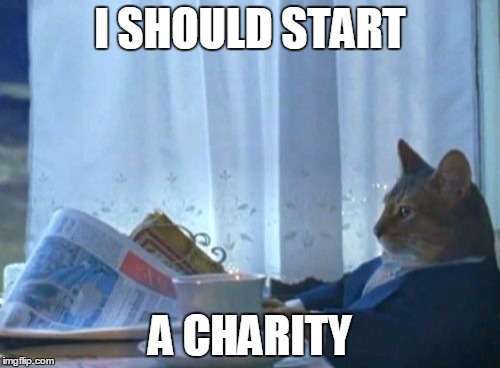 I Should Buy A Boat Cat | I SHOULD START A CHARITY | image tagged in memes,i should buy a boat cat | made w/ Imgflip meme maker