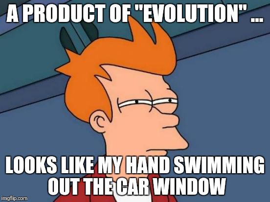 Futurama Fry Meme | A PRODUCT OF "EVOLUTION" ... LOOKS LIKE MY HAND SWIMMING OUT THE CAR WINDOW | image tagged in memes,futurama fry | made w/ Imgflip meme maker