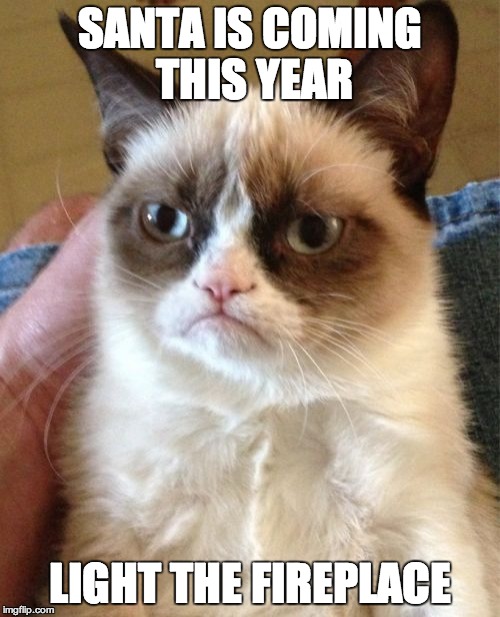 Grumpy Cat Meme | SANTA IS COMING THIS YEAR LIGHT THE FIREPLACE | image tagged in memes,grumpy cat | made w/ Imgflip meme maker