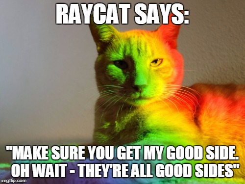 RAYCAT SAYS: "MAKE SURE YOU GET MY GOOD SIDE.  OH WAIT - THEY'RE ALL GOOD SIDES" | made w/ Imgflip meme maker