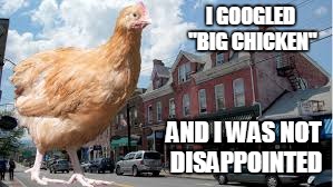 I GOOGLED "BIG CHICKEN" AND I WAS NOT DISAPPOINTED | made w/ Imgflip meme maker
