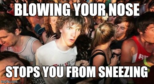 If you get the timing right this becomes a "killer blow" | BLOWING YOUR NOSE STOPS YOU FROM SNEEZING | image tagged in memes,sudden clarity clarence | made w/ Imgflip meme maker