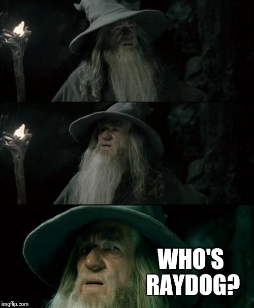 Confused Gandalf Meme | WHO'S RAYDOG? | image tagged in memes,confused gandalf | made w/ Imgflip meme maker