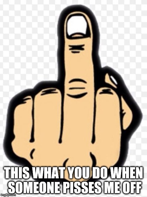 middle finger | THIS WHAT YOU DO WHEN SOMEONE PISSES ME OFF | image tagged in middle finger | made w/ Imgflip meme maker