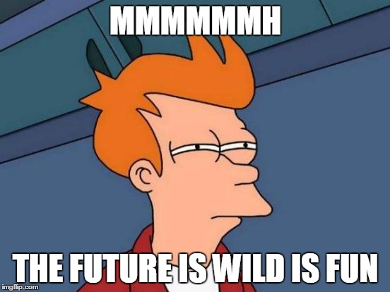 Futurama Fry | MMMMMMH THE FUTURE IS WILD IS FUN | image tagged in memes,futurama fry | made w/ Imgflip meme maker