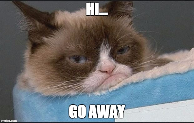Grumpy Cat | HI... GO AWAY | image tagged in grumpy cat | made w/ Imgflip meme maker