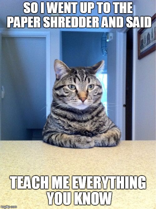 Take A Seat Cat | SO I WENT UP TO THE PAPER SHREDDER AND SAID TEACH ME EVERYTHING YOU KNOW | image tagged in memes,take a seat cat | made w/ Imgflip meme maker