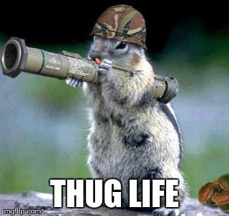 Bazooka Squirrel | THUG LIFE | image tagged in memes,bazooka squirrel | made w/ Imgflip meme maker