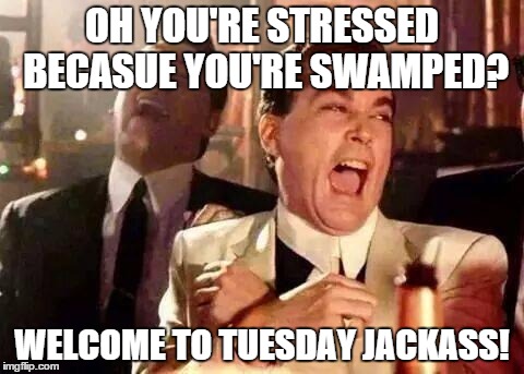 Good Fellas Hilarious | OH YOU'RE STRESSED BECASUE YOU'RE SWAMPED? WELCOME TO TUESDAY JACKASS! | image tagged in good fellas hilarious | made w/ Imgflip meme maker