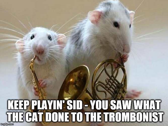 Still a better band than One Direction :) | KEEP PLAYIN' SID - YOU SAW WHAT THE CAT DONE TO THE TROMBONIST | image tagged in musical animals,music,mice | made w/ Imgflip meme maker